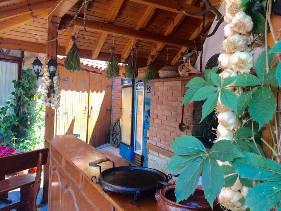 Guest House Gergana 普里莫尔斯科 外观 照片